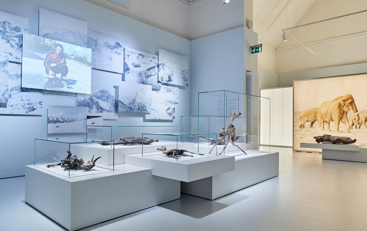 Vitrinen für hochempfindliche Exponate, Mumienausstellung NHM Basel | © Mark Niedermann Photography