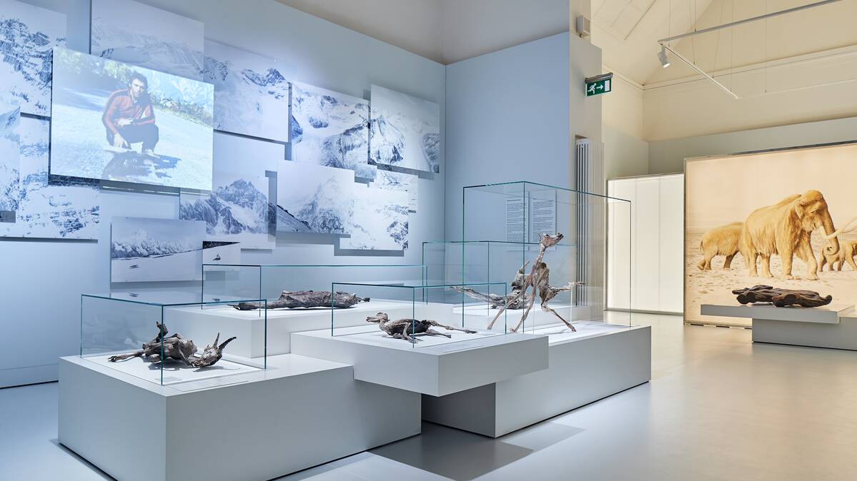 Vitrinen für hochempfindliche Exponate, Mumienausstellung NHM Basel | © Mark Niedermann Photography
